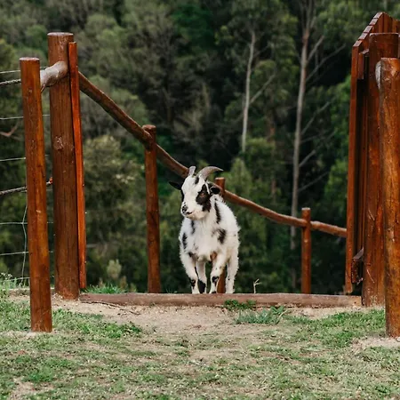 شاليه Welcome Douro - Eco *