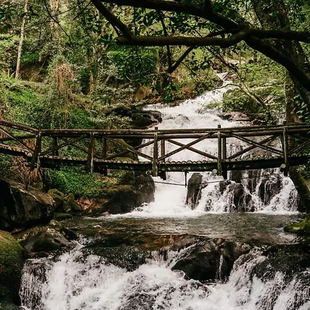 Welcome Douro - Eco 샬레 *