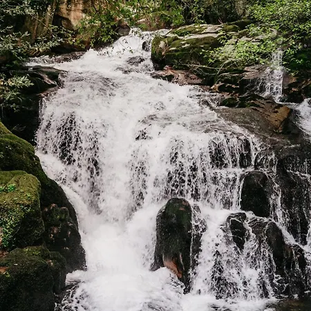 Welcome Douro - Eco * Cinfães