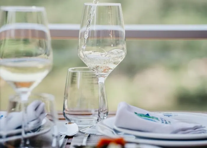 Chalé Welcome Douro - Eco Cinfães