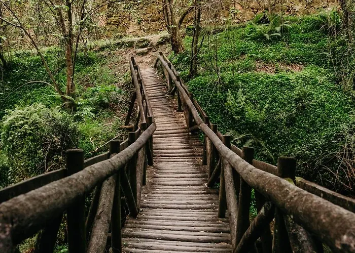 Chalé Welcome Douro - Eco *