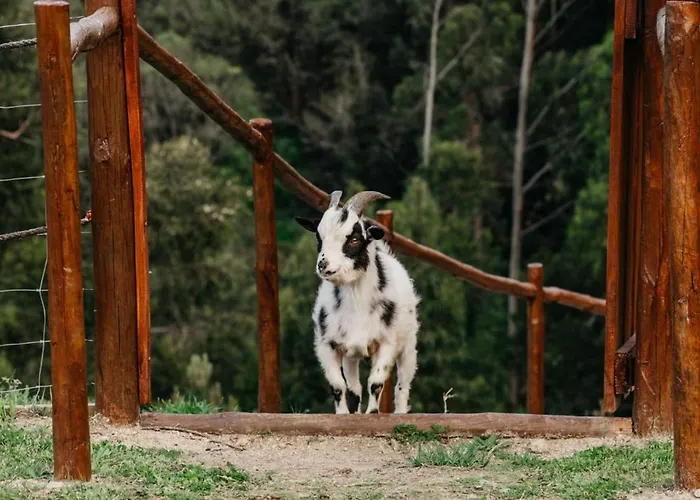 Chalé Welcome Douro - Eco *