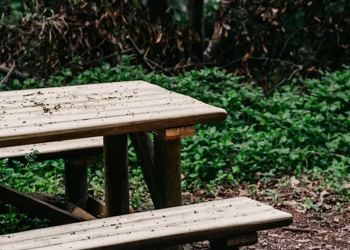 Welcome Douro - Eco Chalé Cinfães