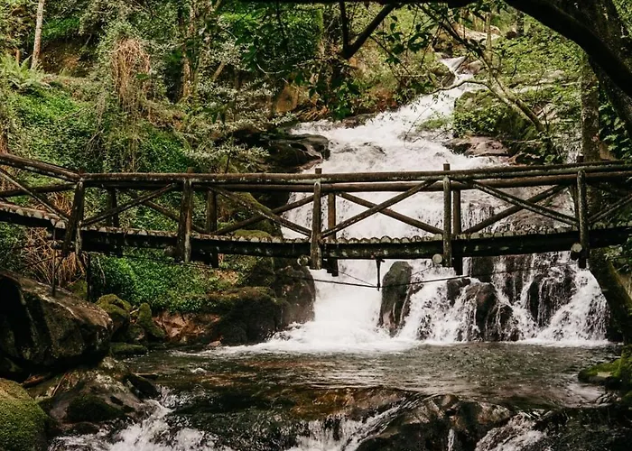 Welcome Douro - Eco Chalé *