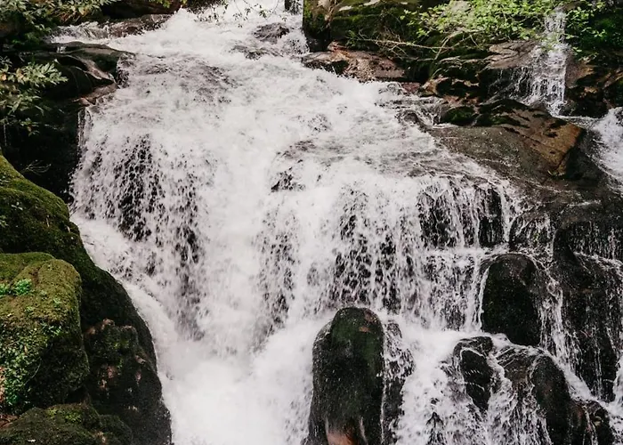 Welcome Douro - Eco * Cinfães